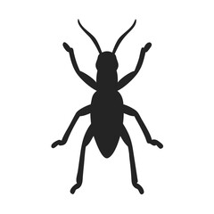illustration of a bug