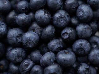 blueberries close up