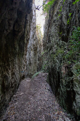 The "sa Brecca de is Tapparas" diaclase in the Perdasdefogu countryside in the "Bruncu Santoru Natural Park", a natural crack in the mountain, 300 meters of canyon. Ogliastra, Sardinia, Italy