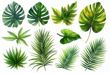 A collection of various tropical leaves illustrated in vibrant colors.