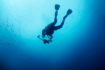 from below of professional scuba diver taking photo with camera of school of fish while swimming in deep clear blue water, concept of underwater photography , copyspace for text