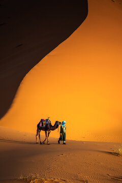 Berber man with camel walking near sand dune in the Sahara desert, Morocco