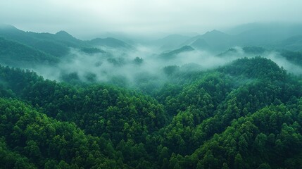 Naklejka premium Lush green mountains shrouded in mist, creating a serene and tranquil landscape.