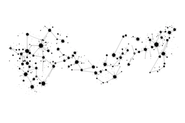 connetcion network isolated on transparent background