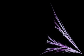 Computer generated fractal pattern and shape