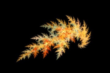 Computer generated fractal pattern and shape