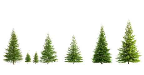 Obraz premium row of variously sized evergreen trees, showcasing different growth stages, is displayed against transparency background. trees are lush and green, highlighting their natural beauty