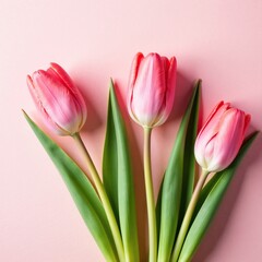 Fototapeta premium Delicate tulips in soft pink hues floated on a pastel pink surface, gentle, blossom, arrangement
