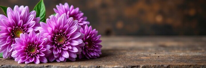 Purple chrysanthemum flowers on a wooden table, arrangement, table, nature