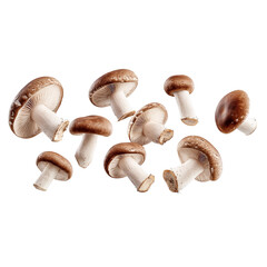 Flying Falling Mushrooms Isolated on Transparent Background, Levitating Fresh Mushrooms, Perfect for Food, Cooking, Recipe, and Restaurant Design Concepts, Generative AI