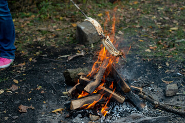 skewers on a fire in the forest at night .