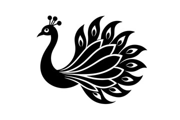 peacock feather isolated on white