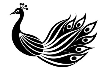 black and white peacock