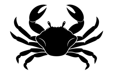 crab isolated on white background