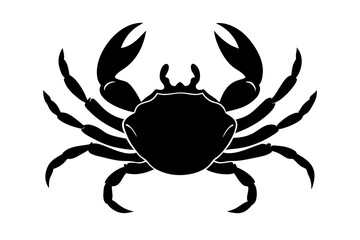 crab isolated on white background