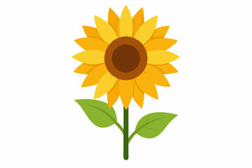 Obraz premium sunflower isolated on white
