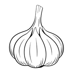 garlic