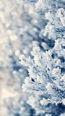 Winter Wonderland Frosty Branches