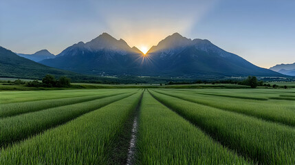 Fototapeta premium Sunrise Mountain Meadow Landscape Photo