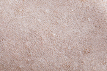 Hairless skin of the Sphinx cat close up background