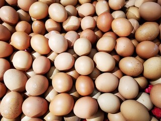 Egg prices increase in the market every major event all over the world 