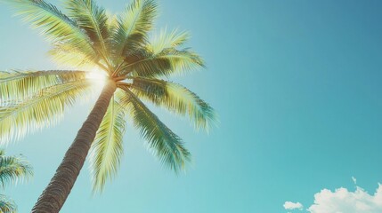 Sunlit Palm Tree Paradise: A Tropical Escape