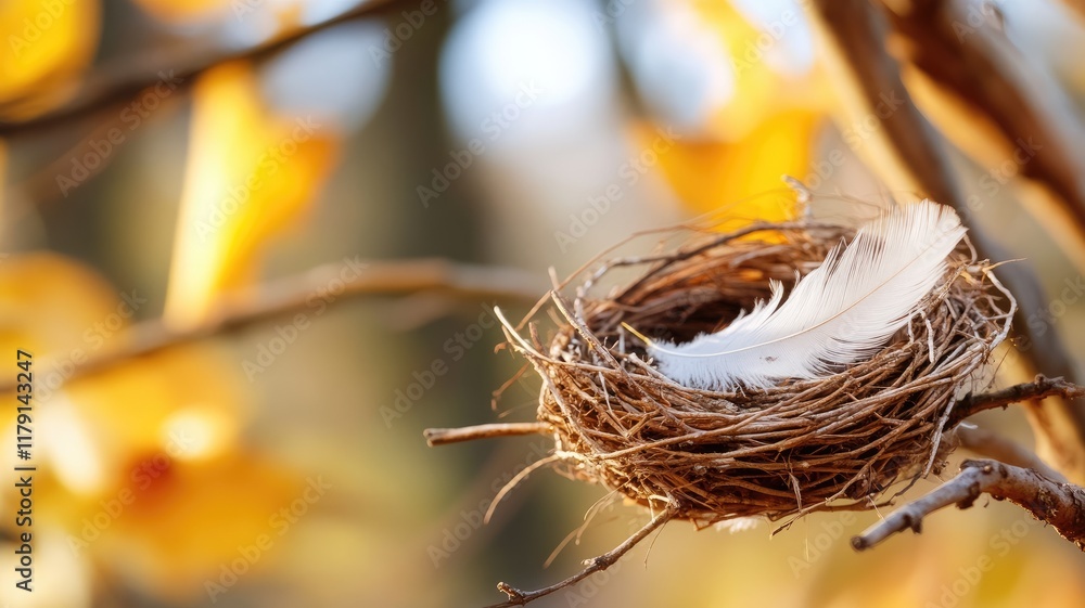 Poster feather in nest on tree branch during autumn