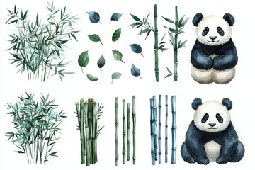 A collection of bamboo and panda illustrations for design or educational purposes.