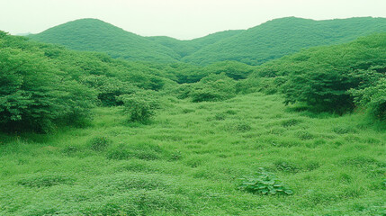 Lush green valley, rolling hills, tranquil landscape, nature scene,  background view.
