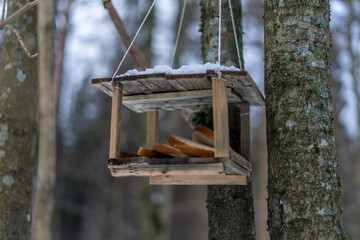A wooden birdhouse with bread hangs on a tree in a park