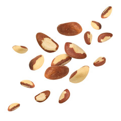 Many Brazil nuts in air on white background