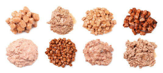 Wet pet food on white background, top view. Set
