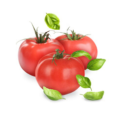 Fresh raw tomatoes and aromatic basil leaves isolated on white