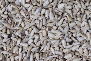 Background of hulled sunflower seeds in close-up