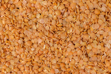 Background of lentils in close-up