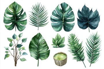 A collection of various green leaves and plants illustrated in a watercolor style.