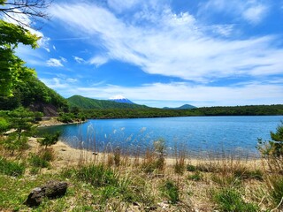 Mount Fuji and Lake Saiko in Fujikawaguchiko, Japan