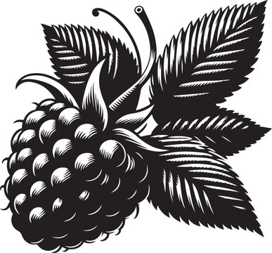 recommend clip art: Raspberry silhouette vector art illustration. Raspberry vector icon illustration. Vector illustration. Silhouette of blackberry or raspberry fruit with stem. Healthy diet and vegetarian food. 