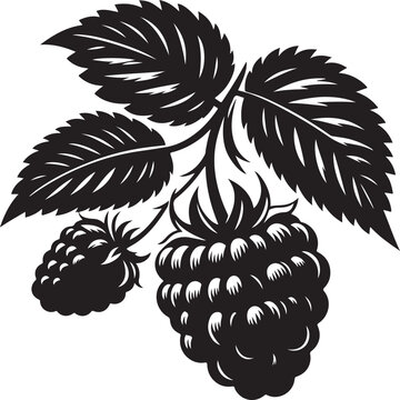 recommend clip art: Raspberry silhouette vector art illustration. Raspberry vector icon illustration. Vector illustration. Silhouette of blackberry or raspberry fruit with stem. Healthy diet and vegetarian food. 