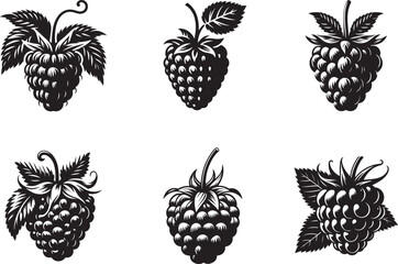 Raspberry silhouette vector art illustration. Raspberry vector icon illustration. Vector illustration. Silhouette of blackberry or raspberry fruit with stem. Healthy diet and vegetarian food. 