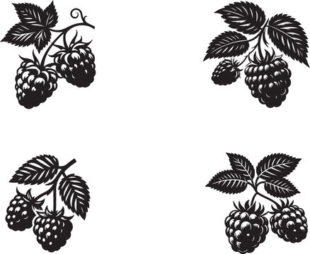Raspberry silhouette vector art illustration. Raspberry vector icon illustration. Vector illustration. Silhouette of blackberry or raspberry fruit with stem. Healthy diet and vegetarian food. 