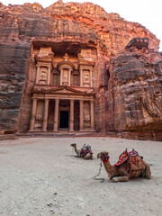 The archaeological treasury with camels in the city of Petra, the capital of the Nabataean state...