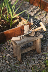 seeds and garden tools on wooden table, seasonal yardwork, planting vegetables in garden