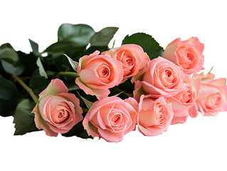 Naklejka premium Elegant bouquet of pink roses with green leaves on transparent background. PNG image