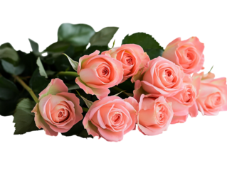 Elegant bouquet of pink roses with green leaves on transparent background. PNG image