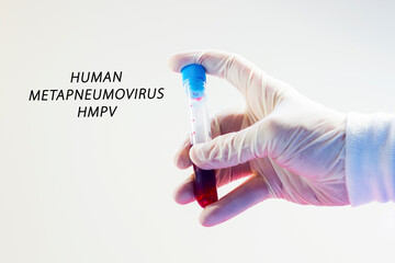 Human Metapneumovirus, HMPV virus