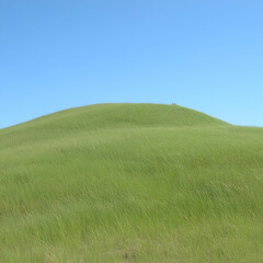Fototapeta premium Serene Grassy Hill Landscape Image
