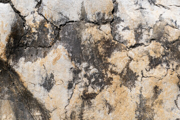 A detailed, close-up shot of a cracked and weathered rock surface with black and beige hues.
