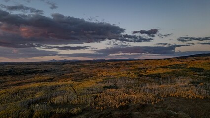 Aerial view of a vast autumn landscape with colorful trees.