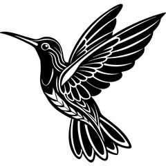 illustration of a Hummingbird